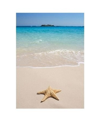 Rozgwiazda na plaży - reprodukcja