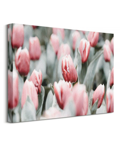 Obraz na ścianę - Różowe tulipany - 30x40 cm