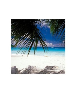 Seychelles - biała piaszczysta plaża - reprodukcja