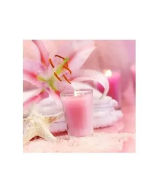 Różowe Spa - reprodukcja