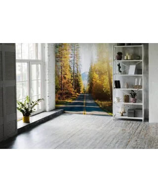 Fototapeta do sypialni - Słoneczna Droga - 254x183 cm