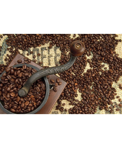 Fototapeta do kuchni - Old Coffee Grinder - 175x115 cm