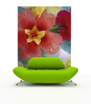 Fototapeta na ścianę - Kolorowe Kwiaty - 183x254 cm