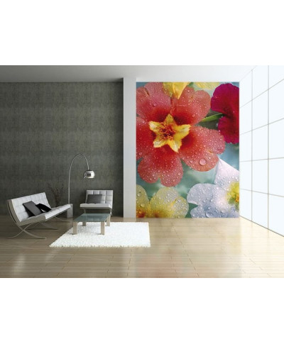 Fototapeta na ścianę - Kolorowe Kwiaty - 183x254 cm