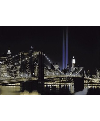 Fototapeta do salonu - Most Nowy Jork - 366x254cm