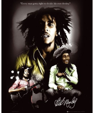 Bob Marley Destiny - plakat