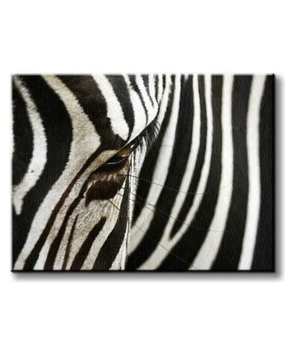 Obraz na płótnie - Zebra - 120x90 cm