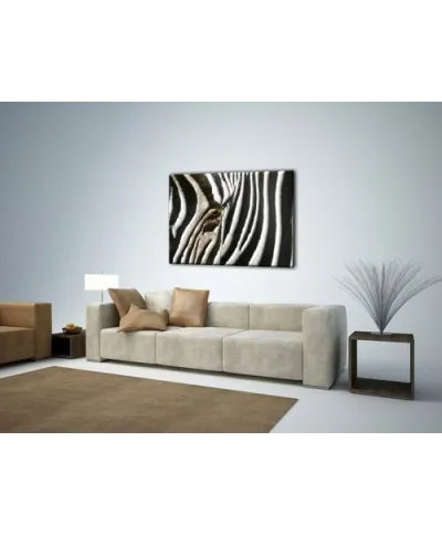 Obraz na płótnie - Zebra - 120x90 cm