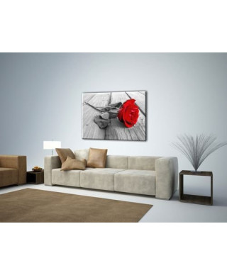 Obraz na ścianę - Róża na molo - 120x90 cm