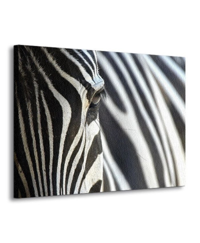 Obraz na ścianę - Zebra - 120x90 cm