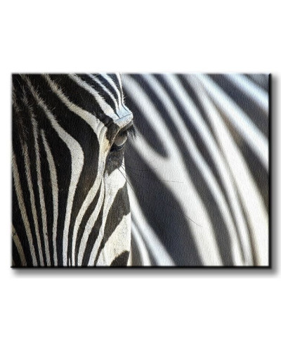 Obraz na ścianę - Zebra - 120x90 cm