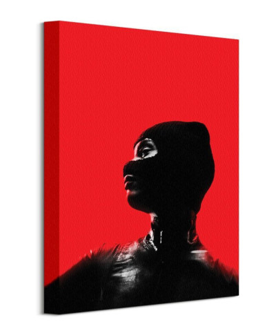 Obraz do salonu - The Batman Catwoman Red - 30x40 cm