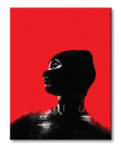 Obraz do salonu - The Batman Catwoman Red - 30x40 cm