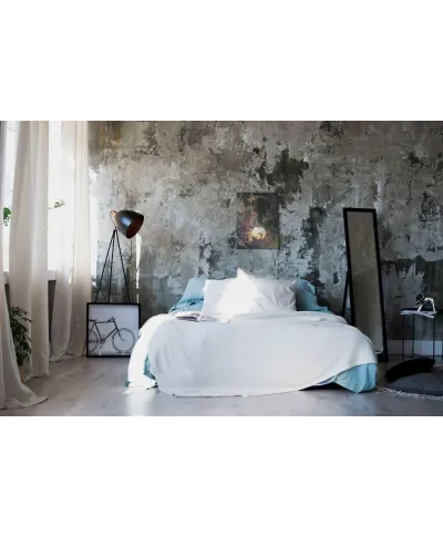 Obraz ścienny - Dungeons and Dragons Green Dragon Sorcerer - 40x30 cm