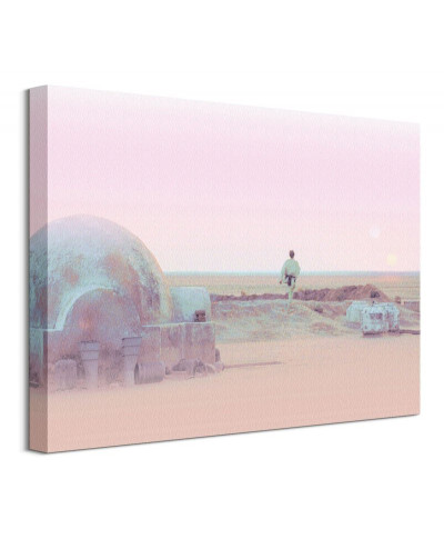 Obraz do salonu - Star Wars Serene Tatooine - 40x30 cm
