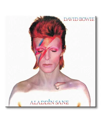 David Bowie Alladin Sane - obraz na płótnie