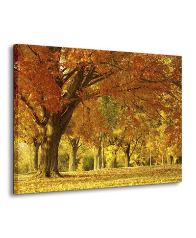 Obraz do salonu - Jesienny krajobraz - 120x90 cm