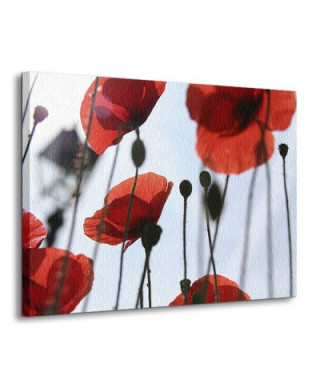 Obraz do salonu - Kwiaty - Czerwone maki - 120x90 cm