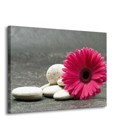 Obraz na ścianę - Kwiat - Gerbera - 120x90 cm