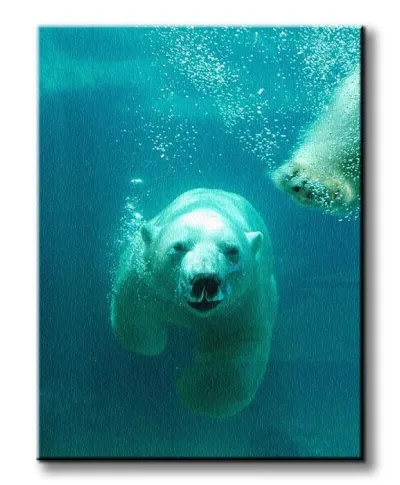 Obraz na wymiar - Niedźwiedź Polarny - 90x120 cm