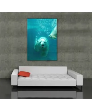 Obraz na wymiar - Niedźwiedź Polarny - 90x120 cm