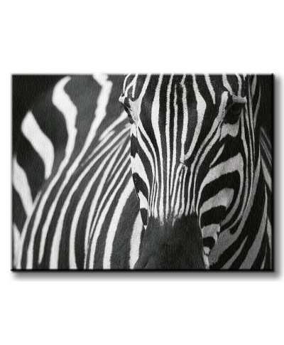 Obraz na płótnie - Zebra - 120x90 cm