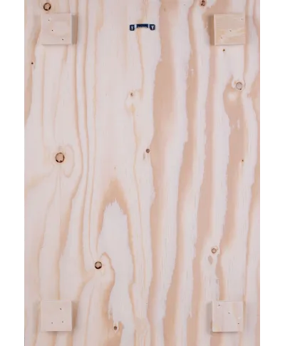 Absinthe Robette - obraz na drewnie