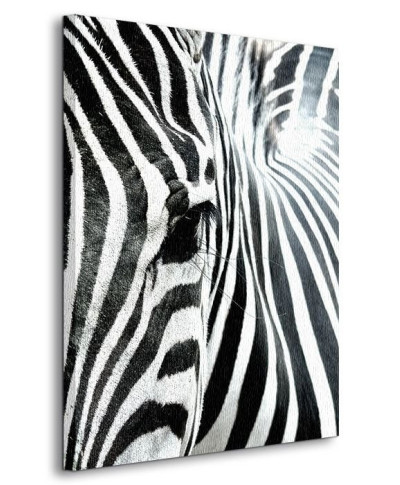 Obraz do sypialni - Zebra - 90x120 cm