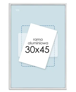 Srebrna rama aluminiowa 30x45 cm