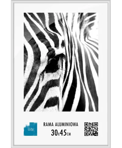 Srebrna rama aluminiowa 30x45 cm