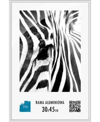 Srebrna rama aluminiowa 30x45 cm