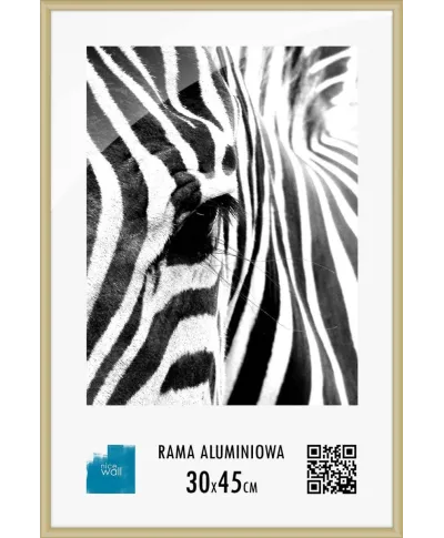 Złota rama aluminiowa 30x45 cm