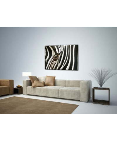 Obraz ze Zwierzętami - Zebra - 80x60 cm