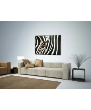 Obraz ze Zwierzętami - Zebra - 80x60 cm