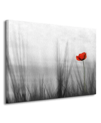 Obraz do salonu - Samotny mak - 80x60 cm