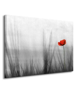 Obraz do salonu - Samotny mak - 80x60 cm