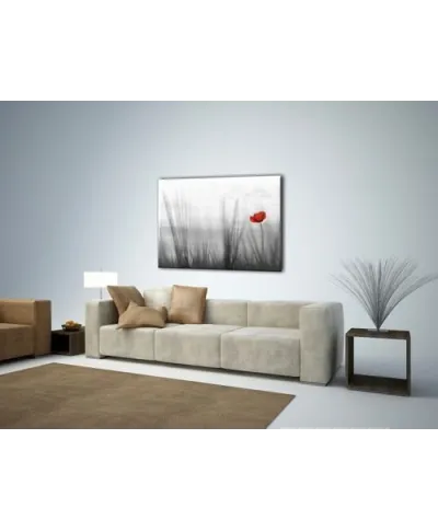 Obraz do salonu - Samotny mak - 80x60 cm