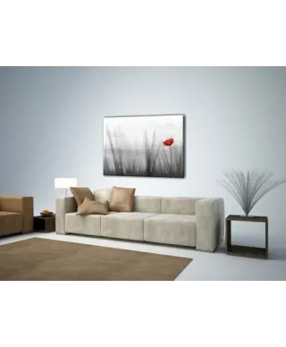 Obraz do salonu - Samotny mak - 80x60 cm