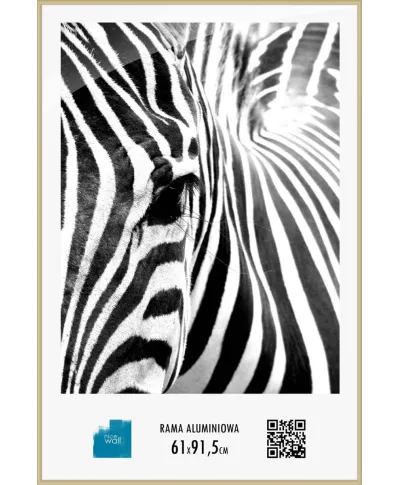Złota rama aluminiowa 61x91,5 cm