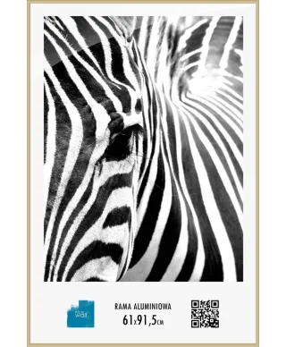 Złota rama aluminiowa 61x91,5 cm