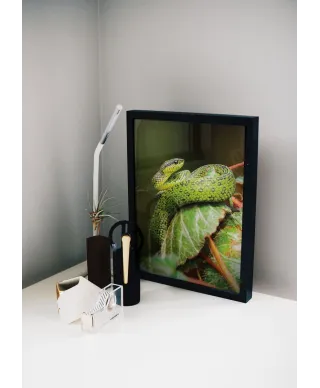 Zielony Wąż - plakat