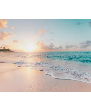 Północne wybrzeże - plakat