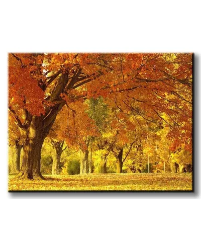 Jesienny kajobraz - Obraz na płótnie