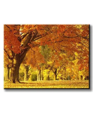 Jesienny kajobraz - Obraz na płótnie