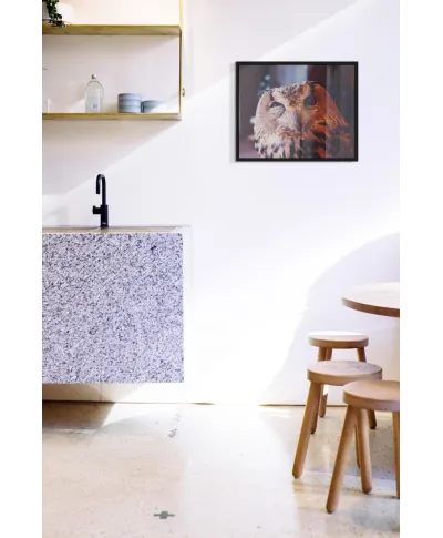 Wścibska sowa - plakat