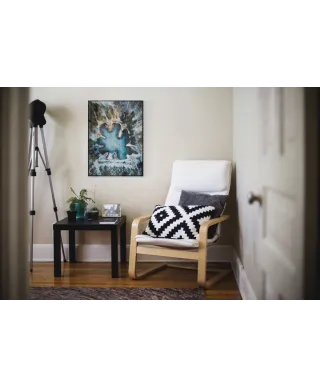 Zimowe jezioro - plakat