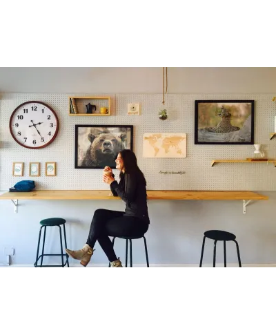 Niedźwiedź - plakat