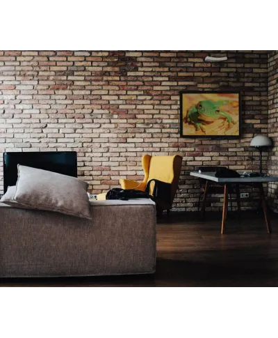 Zielona Żaba - plakat