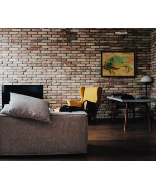 Zielona Żaba - plakat