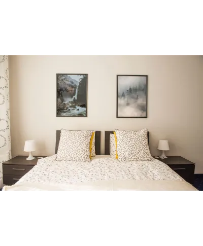 Górski wodospad - plakat